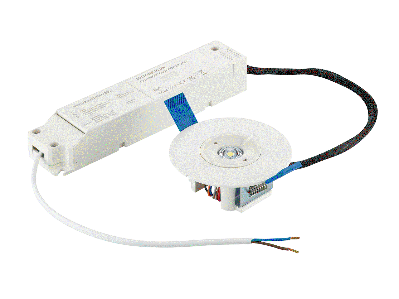 Notfall-Downlight, Recessed, 3 W, 3 W, D95 mm  H31 mm, 328 lm, 6500 K, IP20, ELP3h, Nicht dauerhaft – Bild 2 von 5
