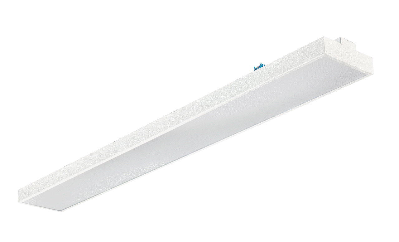 Maxos Fusion Office, Trunking mounted, 39 W, 1520x186  mm, 5600 lm, 4000 K, DALI-regelbar, Interact Ready, UGR16, TP(b) – Bild 2 von 7