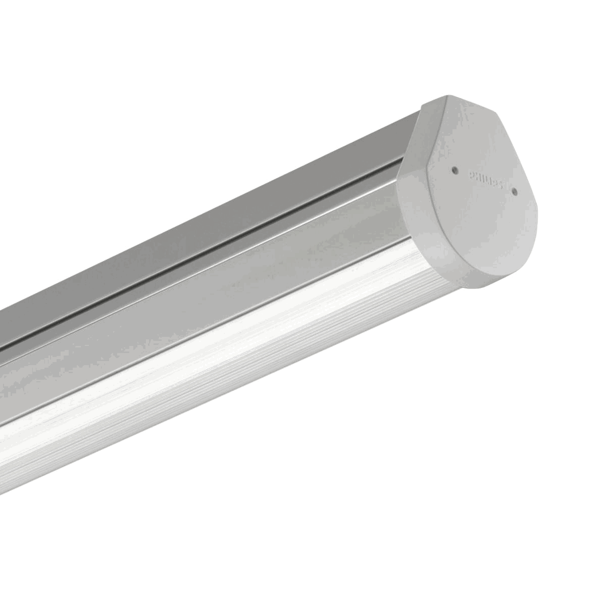 Maxos LED Performer, Trunking light panel, 25.9 W, L1200 mm, 4000 lm, 4000 K, DALI-regelbar, Breitstrahlend (WB), Klar, Silber, IP40