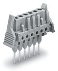 Federleiste für Reihenklemmen Stifte 0,6 x 1 mm gerade grau