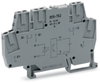 Optokopplermodul Eingangsnennspannung DC 24 V Ausgangsspannungsbereich DC 3 … 30 V grau