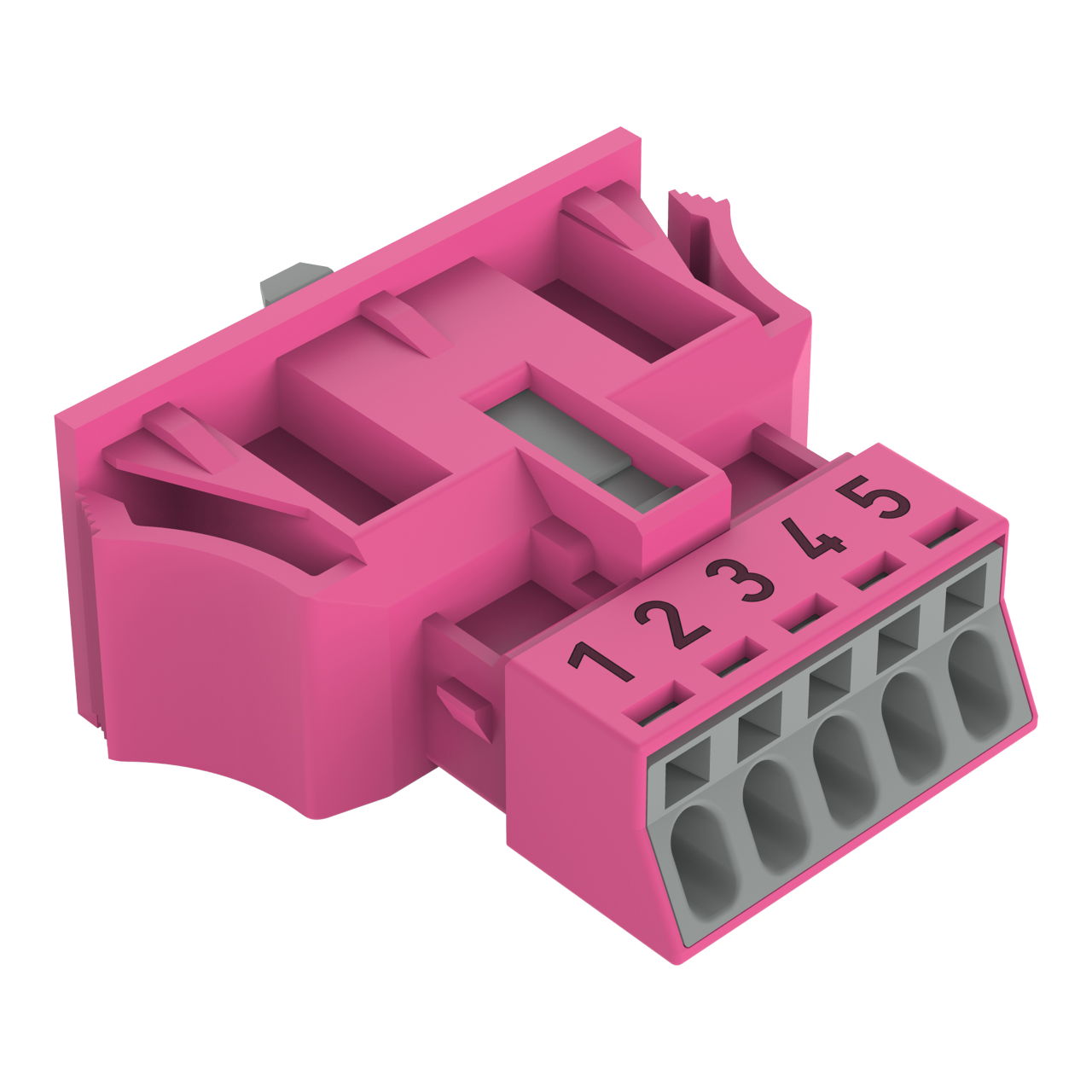 Snap-In-Buchse 5-polig Kod. B pink
