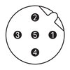 Zubehör M12-Stecker, axial 5-polig
