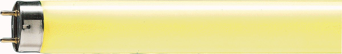 TL-D Farbig -  Fluorescent lamp -  Systemleistung: 36.0 W – Bild 2 von 4