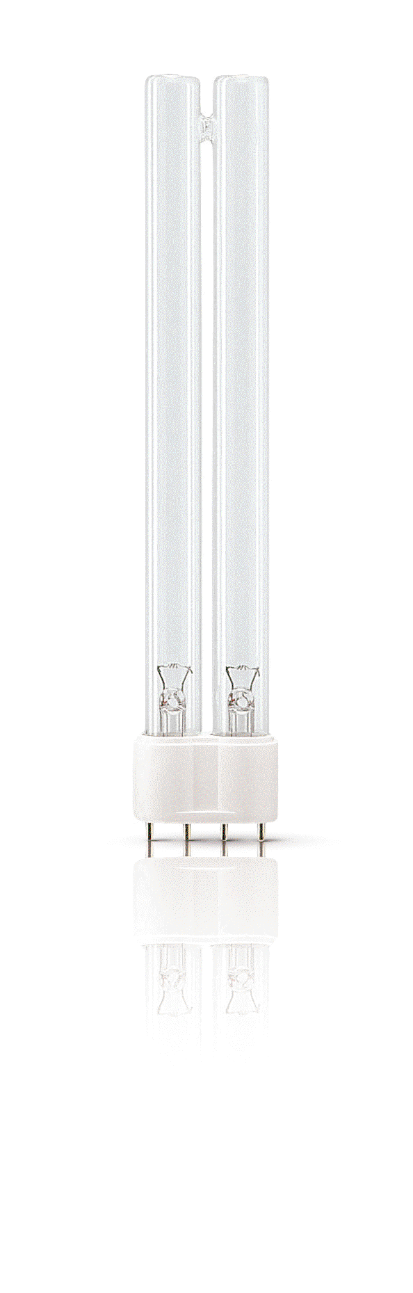 TUV PL-L -  UV lamp -  Systemleistung: 36 W – Bild 2 von 4