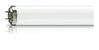Flexo Print -  UV lamp -  Systemleistung: 80 W