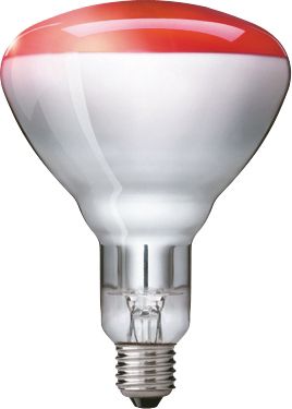 Infrarotlampen für industrielle Anwendungen -  IR lamp -  Systemleistung: 250 W