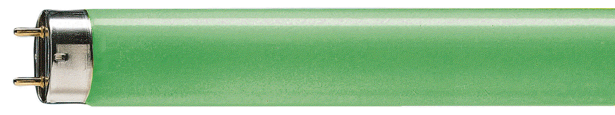 TL-D Farbig -  Fluorescent lamp -  Systemleistung: 36.0 W – Bild 2 von 4