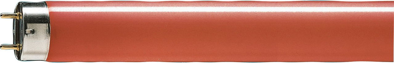 TL-D Farbig -  Fluorescent lamp -  Systemleistung: 36.0 W