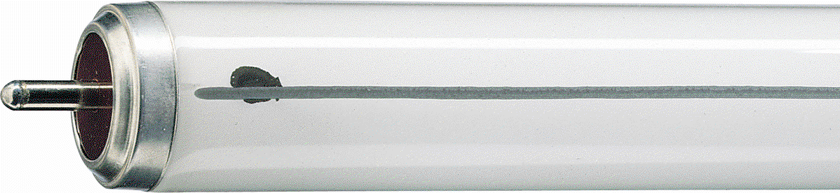 TL-X XL -  Fluorescent lamp -  Systemleistung: 40.0 W -  Energieeffizienzklasse: G -  Ähnlichste Farbtemperatur: 4000 K – Bild 2 von 4