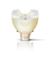 MSD Platinum (Touring/Stage) -  Studio-, projection- and photo lamp -  Systemleistung: 330 W -  Ähnlichste Farbtemperatur: 8000 K