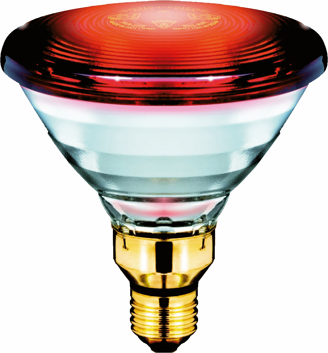 InfraRed Healthcare Heat Incandescent -  IR lamp -  Systemleistung: 150 W – Bild 2 von 4