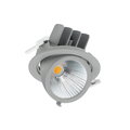 LuxSpace Accent Performance Einbaustrahler Herausschwenkbar, 38.5 W, D155 mm, 4700 lm, 2700 K, Sehr breitstrahlend, PerfectAccent-Reflektoren, Silber,