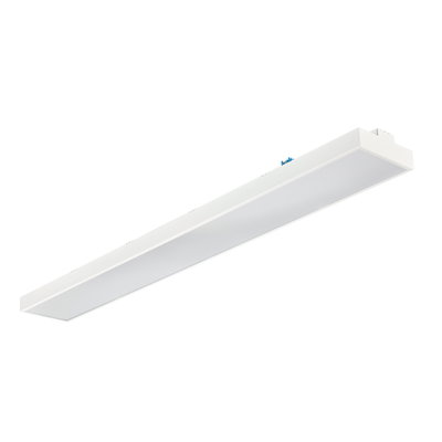 Maxos Fusion Office, Trunking mounted, 39 W, 1520x186 mm, 5600 lm, 4000 K, DALI-regelbar, Interact Ready, UGR16, TP(b)