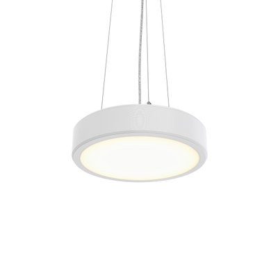 Essential Pendelleuchten, 3D printed, 15.4 W, D390 mm  H85 mm, 1817 lm, 3000 K, CRI90, DALI-regelbar, Interact Ready, UGR19