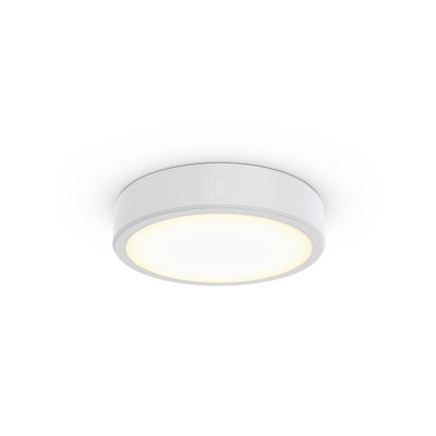 Essential Anbauleuchten, 3D printed, 15.4 W, D390 mm  H85 mm, 1890 lm, 4000 K, CRI90, DALI-regelbar, Interact Ready, UGR19