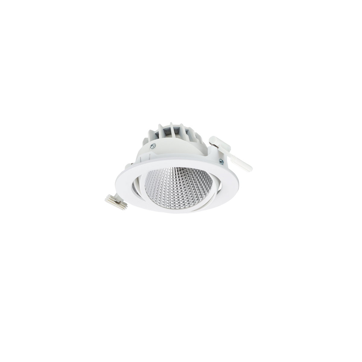 GreenSpace Accent Cardanic Gen2, 33 W, C/O D150mm, 3000 lm, Frost, 5000 K, CRI90, Interact Ready, IP20