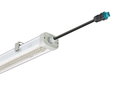 Pacific LED Gen5, Waterproof, 48.5 W, L1800 mm, 8000 lm, 4000 K, DALI-regelbar, Breitstrahlend (WB), Klar, IP66, IK08, ATEX 2/22