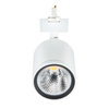 StyliD Evo, Performance, track projector, 31 W, 3900 lm, 3000 K, CRI90, Tiefstrahlend (NB), Weiß