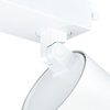 StyliD Evo, Performance, track projector, 31 W, 3900 lm, 3000 K, CRI90, Tiefstrahlend (NB), Weiß