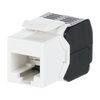 ZE311 Buchse RJ45 Kunststoff für Zählerfelder mit Zählerkreuz.