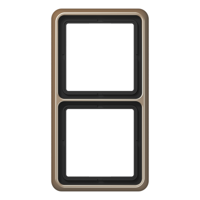 Rahmen 2fach, senkrechte und waagerechte Montage, Aluminium eloxiert, CD 500, gold-bronze