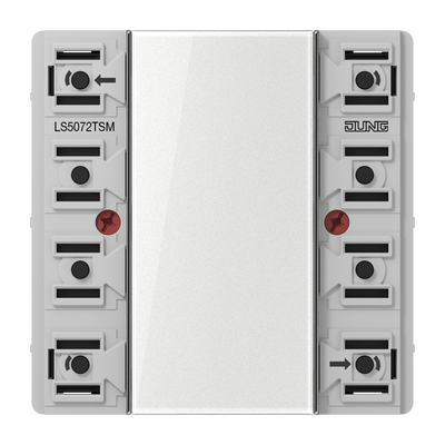 KNX Tastsensor-Modul Standard, 2fach, F50, Serie LS