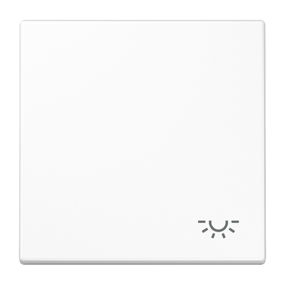Wippe 1fach, Symbol Licht, Duroplast, Serie LS, alpinweiß