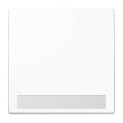 Wippe, mit Schriftfeld, Duroplast, Serie LS, alpinweiß