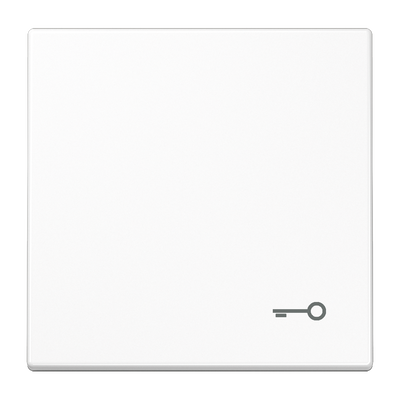 Wippe 1fach, Symbol Tür, Duroplast, Serie LS, alpinweiß