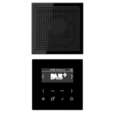 Smart Radio DAB+, Set Mono 1fach, Serie LS, schwarz