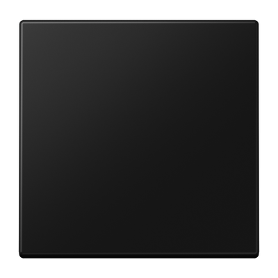 Wippe 1fach, Duroplast lackiert, Serie LS, graphitschwarz matt