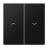 Wippe 2fach, mit Pfeilsymbolen, Duroplast lackiert, Serie LS, graphitschwarz matt