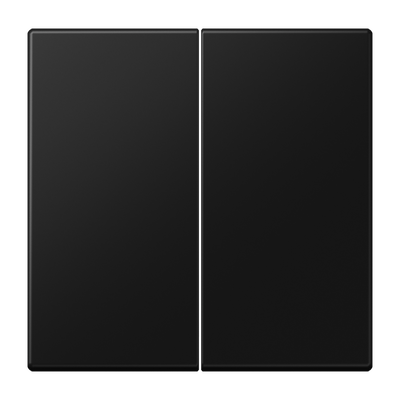 Wippe 2fach, Duroplast lackiert, Serie LS, graphitschwarz matt