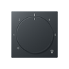Abdeckung für Thermostat, Thermoplast lackiert, Serie A, anthrazit matt