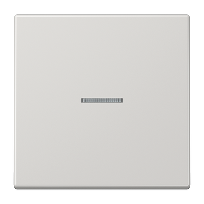 JUNG HOME Taster 1fach, mit Lichtleiter, Duroplast, Serie LS, lichtgrau
