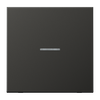 JUNG HOME Taster 1fach, mit Lichtleiter, Aluminium lackiert, Serie LS, anthrazit