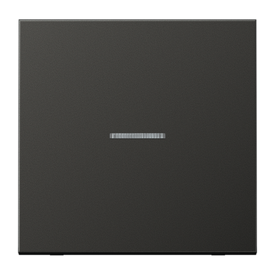 JUNG HOME Taster 1fach, mit Lichtleiter, Aluminium lackiert, Serie LS, anthrazit