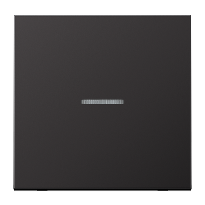 JUNG HOME Taster 1fach, mit Lichtleiter, Aluminium lackiert, Serie LS, dark