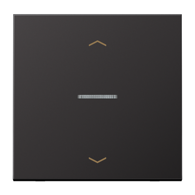 JUNG HOME Taster 1fach, mit Pfeilsymbolen, mit Lichtleiter, Aluminium lackiert, Serie LS, dark