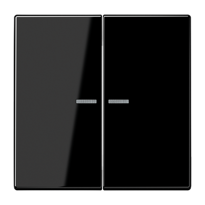 JUNG HOME Taster 2fach, mit Lichtleiter, Duroplast, Serie LS, schwarz