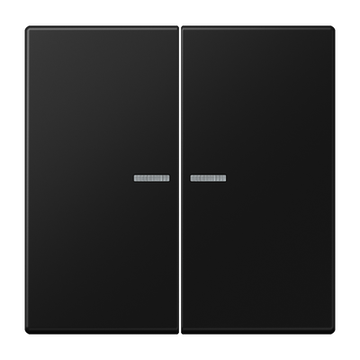 JUNG HOME Taster 2fach, mit Lichtleiter, Duroplast lackiert, Serie LS, graphitschwarz matt