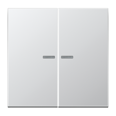 JUNG HOME Taster 2fach, mit Lichtleiter, Serie LS, Aluminium
