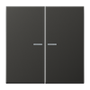 JUNG HOME Taster 2fach, mit Lichtleiter, Aluminium lackiert, Serie LS, anthrazit