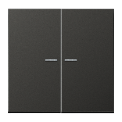 JUNG HOME Taster 2fach, mit Lichtleiter, Aluminium lackiert, Serie LS, anthrazit