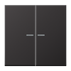 JUNG HOME Taster 2fach, mit Lichtleiter, Aluminium lackiert, Serie LS, dark