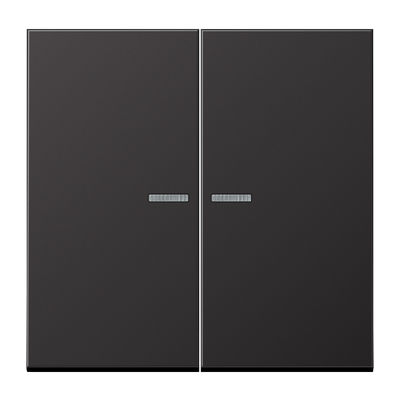 JUNG HOME Taster 2fach, mit Lichtleiter, Aluminium lackiert, Serie LS, dark