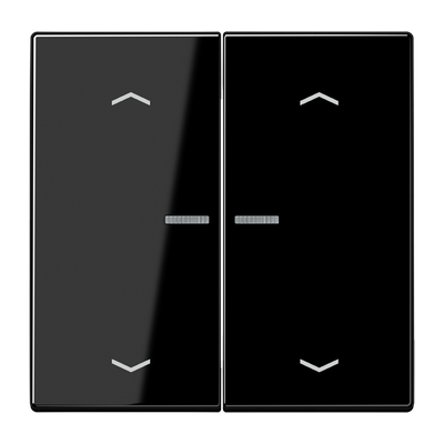 JUNG HOME Taster 2fach, mit Pfeilsymbolen, mit Lichtleiter, Duroplast, Serie LS, schwarz