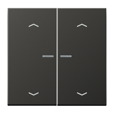 JUNG HOME Taster 2fach, mit Pfeilsymbolen, mit Lichtleiter, Aluminium lackiert, Serie LS, anthrazit