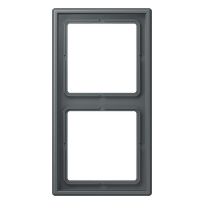 Rahmen, 2fach, LS 990, gris foncé 31 (32010)